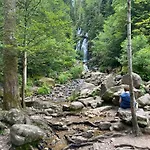 Chalet, Spacieux, Proche Du Lac, Vue Sur La Montagne * Gerardmer