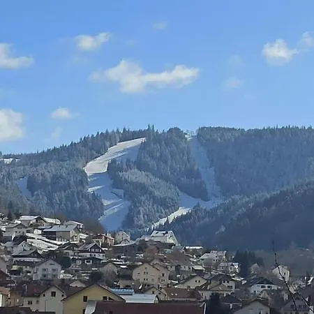 Chalet, Spacieux, Proche Du Lac, Vue Sur La Montagne * Gérardmer
