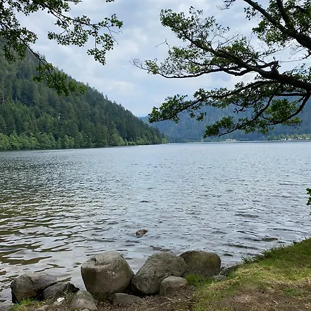 Chalet, Spacieux, Proche Du Lac, Vue Sur La Montagne Vakantiehuis