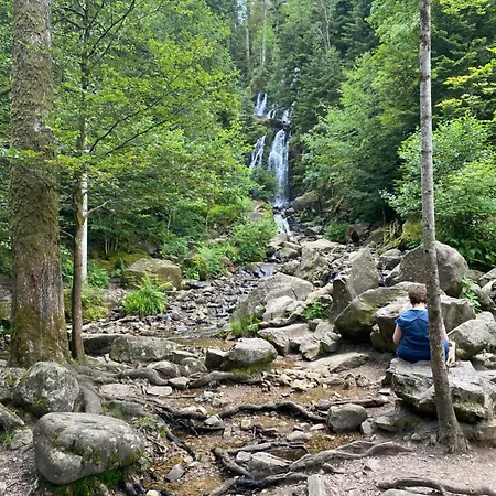 Chalet, Spacieux, Proche Du Lac, Vue Sur La Montagne * Gerardmer